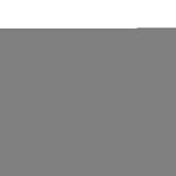 Albino and Preto Collapsible Storage Bin • Black • BRAND NEW