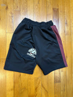 Albino and Preto Nopal HB Classic Fitted Shorts • Black • Small • BARELY USED