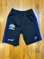 Albino and Preto A&P x Wing Gundam Fitted Shorts • Black • Small • GENTLY USED